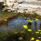 pond-in-rockery-type-garden.jpg