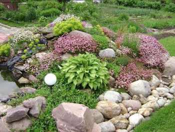 Клумбы из камней -пошаговая инструкция для начинающих садоводов (55 фото идей)
